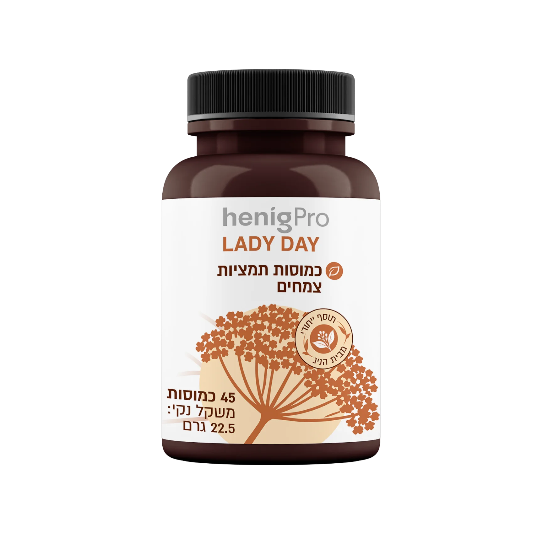 LADY DAY